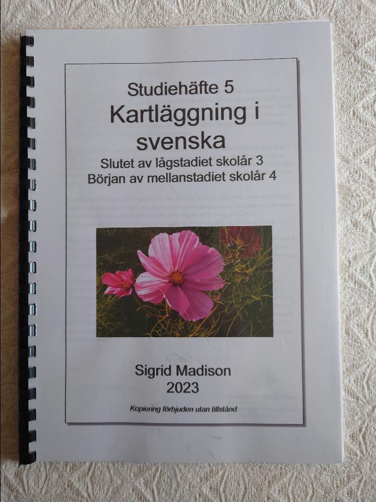 Kartläggning i svenska